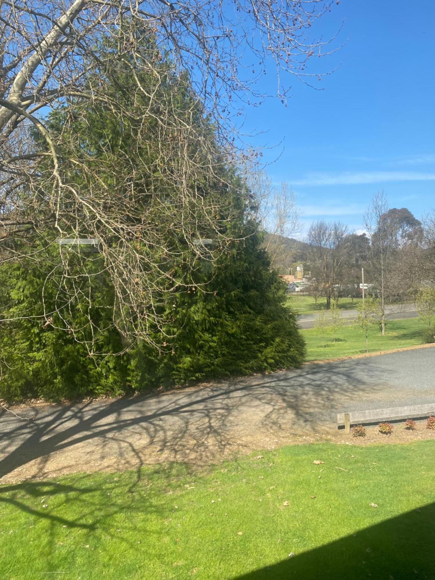 Tumbarumba Motel & Elms Restaurant Kültér fotó